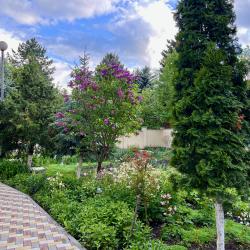 Фото Отель Mountains (Маунтинс)