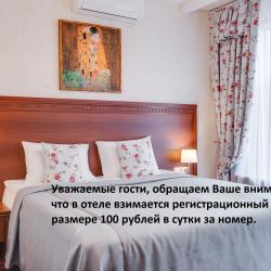 Номер полулюкс с 1 двуспальной кроватью