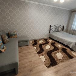 Фото Апартаменты на улице 2-я Новая 35