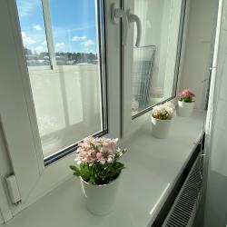 Фото Отель Welcome Karelia на улице Мичуринская 48