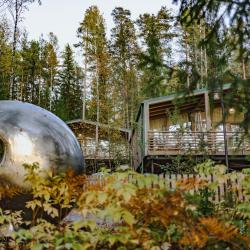 Дачи (первая линия)