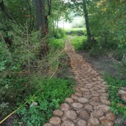 Фото Отель Прованс