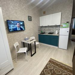 1-комнатные апартаменты студия Приморский край, Владивосток, улица Партизанский проспект