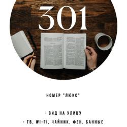 Номер люкс с 1 двуспальной кроватью #301