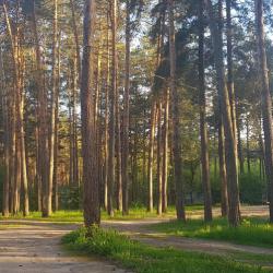 Фото Отель Янтарная