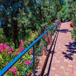 Фото Отель Жуковка