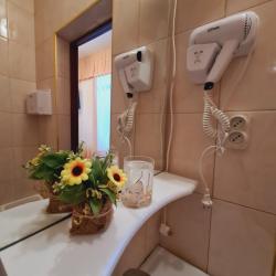 Фото Отель Золотой лев