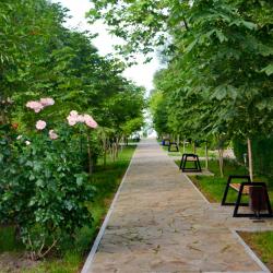 Фото Парк-Отель Южный берег