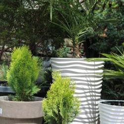 Фото Отель AMIGO на Морской (Амиго)