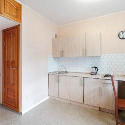 Фото Отель Просторная квартира с джакузи