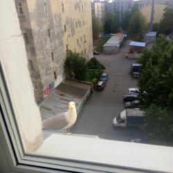 Фото Отель Студия в историческом доме с достопримечательностями