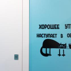 фото 2 Санди на Автозаводской 23 стр. 931
