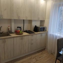 Фото Апартаменты на ленинском проспекте 97