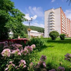 Фото Отель Алтай West (Вест)