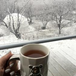 Фото Отель Абрикос Village (Абрикос Вилладж)