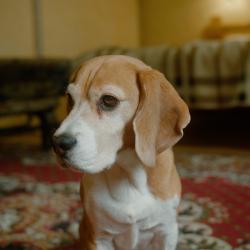 Фото Отель Алаколь