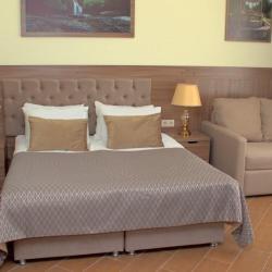 Фото Отель Дворец Нарзанов