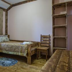 Номер стандарт плюс с 2 односпальными кроватями (с завтраком)