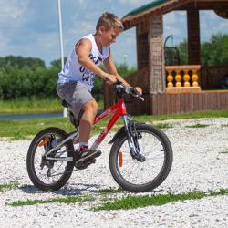 Фото Отель Золото Алтая