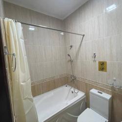 Фото Отель Shosh Avenue Hotel (Шош Авеню)