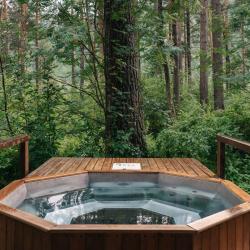 Фото парк Отель Алтай