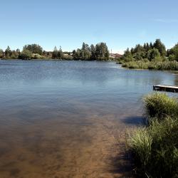 Фото Отель Стильный коттедж у озера