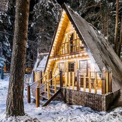 Коттедж премиум