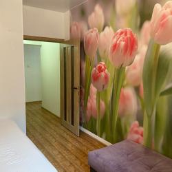 Апартаменты стандарт улица Дзержинского, 6/1