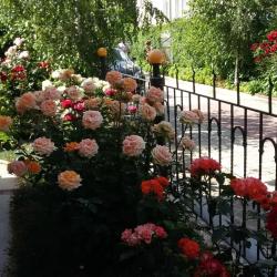 Фото Отель Сон