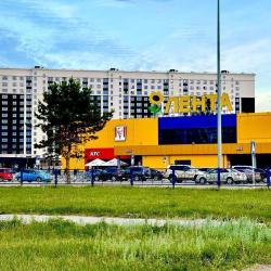 Фото Апартаменты на Власихинской улице 65Ак3