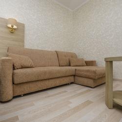 Номер делюкс с 1 двуспальной кроватью (вид на бассейн)