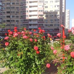 Фото Отель НаНедельку на улице 40-летия Победы