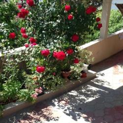 Фото Отель Джина