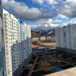 1-комнатные апартаменты люкс Студия на Лесников 49