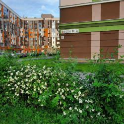 Фото Апартаменты на улице Ясная 4