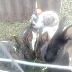 Фото Отель Гостевой дом в Мартыново