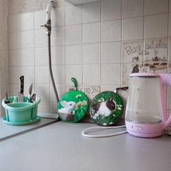 Фото Отель Pryanik Apartments (Пряник Апартментс) на улице Новомосковская 9