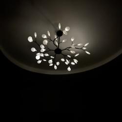 Фото Отель Аравана