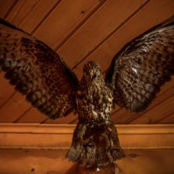 Коттедж Генеральский с 3 двуспальными кроватями