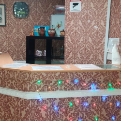 Фото Отель Тасос