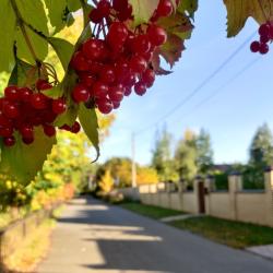 3-комнатные апартаменты люкс