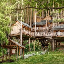 Фото Отель Ой-Карагай Лесная Сказка (Oi-Qaragai)