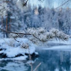 Фото Отель Коттедж