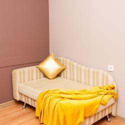 1-комнатные апартаменты стандарт 1-к. кв. ул. Петровско-Заводская 25 №2