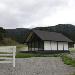 Фото Отель Альпинс residence