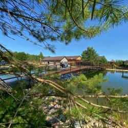 4-местный коттедж в лесу №9