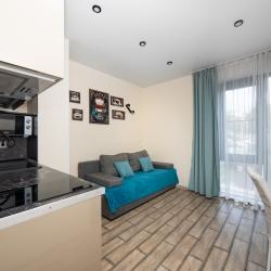 Апартаменты Люкс с 1 спальней