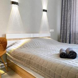 Апартаменты студия с 1 двуспальной кроватью