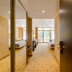 Номер комфорт с 1 двуспальной кроватью (мансарда)