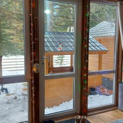 Фото Отель Greenhouse 1599 (ГринХаус 1599)